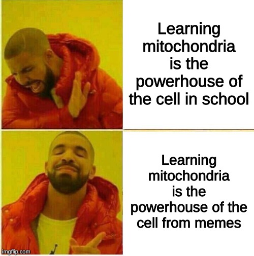Drake Hotline approves |  Learning mitochondria is the powerhouse of the cell in school; Learning mitochondria is the powerhouse of the cell from memes | image tagged in drake hotline approves,mitochondria is the powerhouse of the cell | made w/ Imgflip meme maker