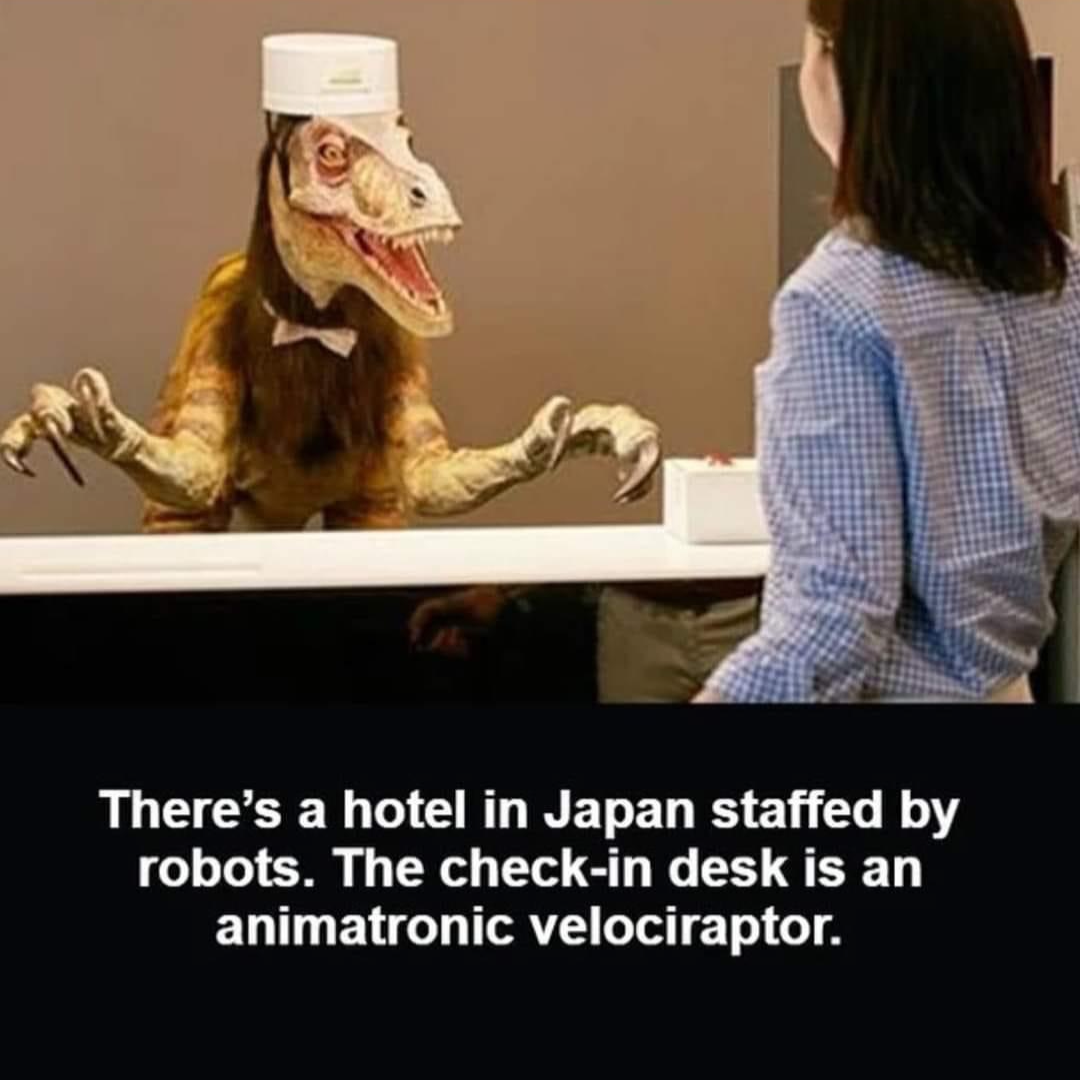 Hotel in Japan Blank Meme Template