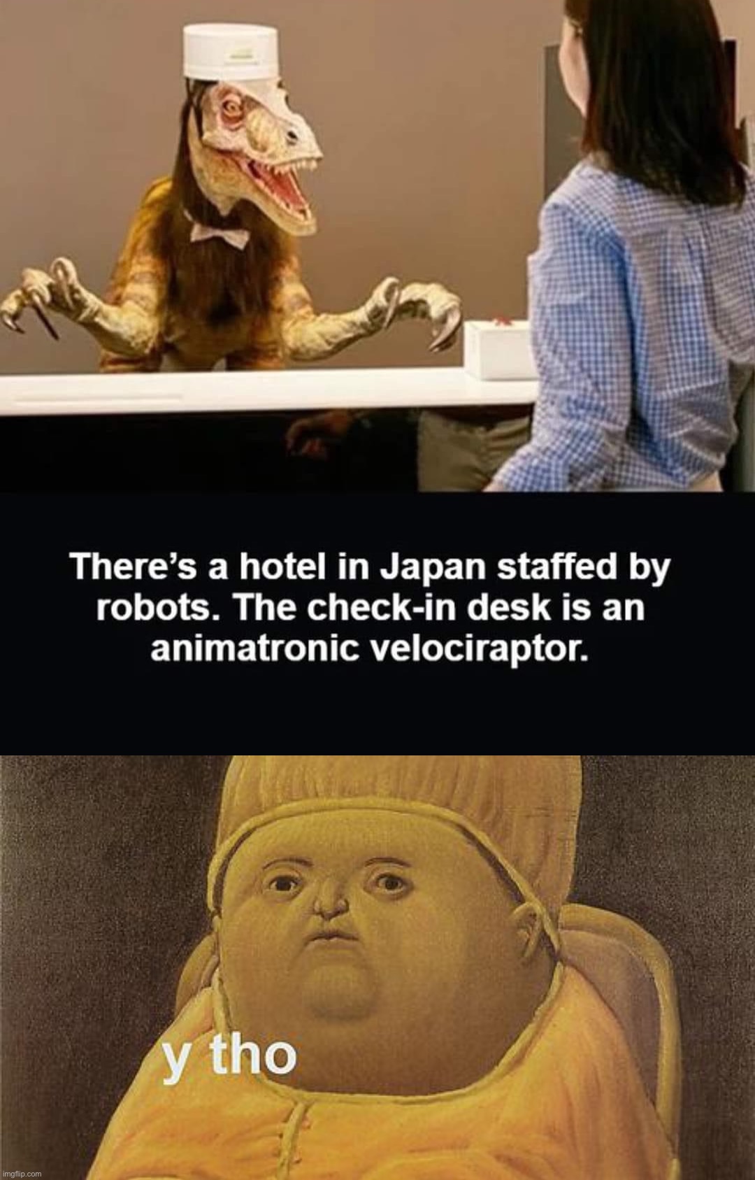 only in Japan | image tagged in hotel in japan,y tho,japan,meanwhile in japan,why japan,why tho | made w/ Imgflip meme maker