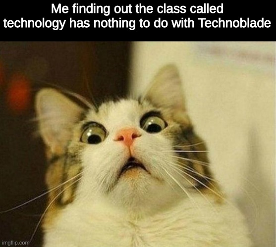 Scared Cat Meme | Me finding out the class called technology has nothing to do with Technoblade | image tagged in memes,scared cat,technoblade,school meme | made w/ Imgflip meme maker