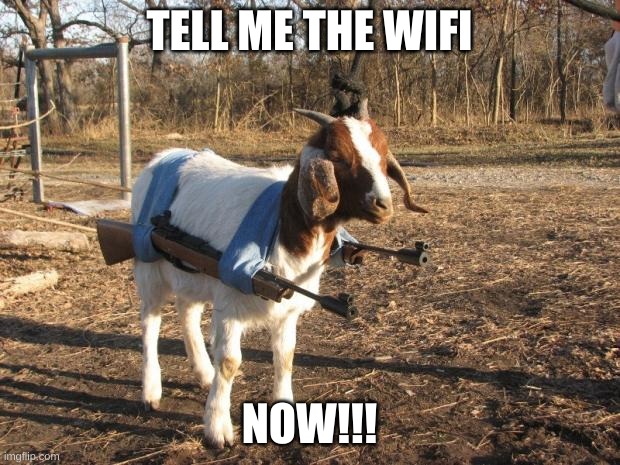 Call of Duty Goat | TELL ME THE WIFI; NOW!!! | image tagged in call of duty goat | made w/ Imgflip meme maker