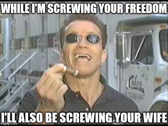 Screwing up everything | WHILE I'M SCREWING YOUR FREEDOM; I'LL ALSO BE SCREWING YOUR WIFE | image tagged in arnold ballsy | made w/ Imgflip meme maker