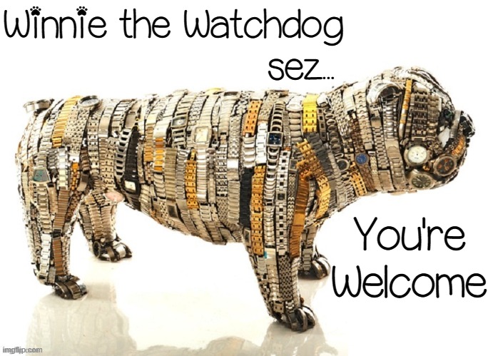 Spending Time with a Watch Dog is Never a Waste of Time |  Winnie the Watchdog           
          sez... You're Welcome | image tagged in vince vance,memes,dogs,watch dogs,you're welcome,waste of time | made w/ Imgflip meme maker