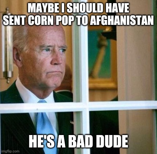 Sad Joe Biden | MAYBE I SHOULD HAVE SENT CORN POP TO AFGHANISTAN; HE'S A BAD DUDE | image tagged in sad joe biden | made w/ Imgflip meme maker