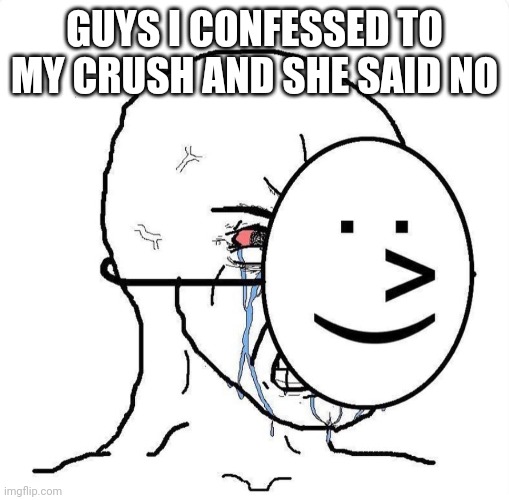 Dying inside | GUYS I CONFESSED TO MY CRUSH AND SHE SAID NO | image tagged in dying inside | made w/ Imgflip meme maker