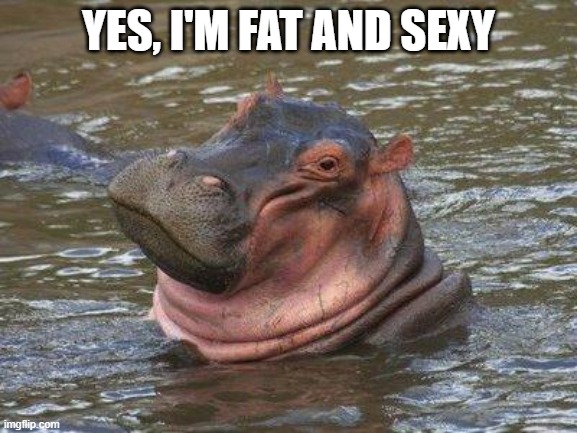 smiling hippo | YES, I'M FAT AND SEXY | image tagged in smiling hippo | made w/ Imgflip meme maker