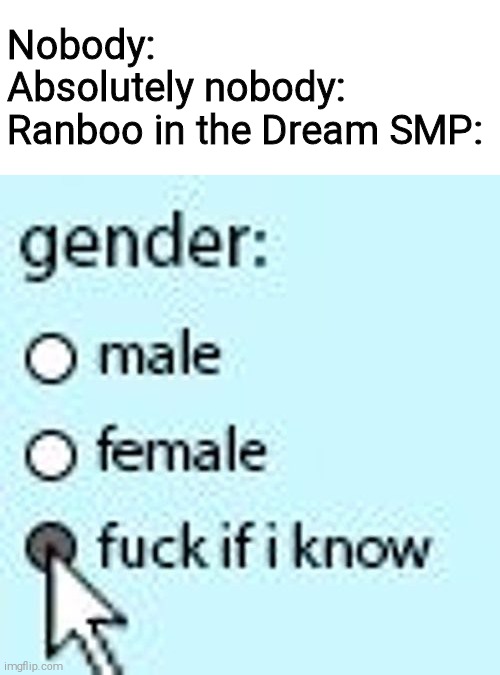 Nobody:
Absolutely nobody:
Ranboo in the Dream SMP: | made w/ Imgflip meme maker