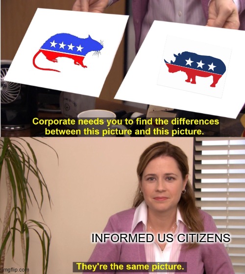 Dems & RINOs |  INFORMED US CITIZENS | image tagged in memes,they're the same picture,democrats,republicans,rino | made w/ Imgflip meme maker