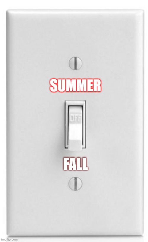 Summer fall light switch | SUMMER; FALL | image tagged in summer,fall,light | made w/ Imgflip meme maker