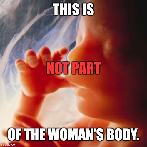 This Meme Is Not Political | THIS IS; NOT PART; OF THE WOMAN’S BODY. | image tagged in fetus,abortion | made w/ Imgflip meme maker