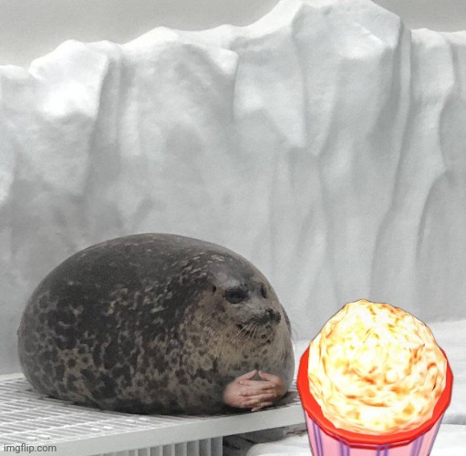 Pov: you see this seal eating a bucket of popcorn. | made w/ Imgflip meme maker