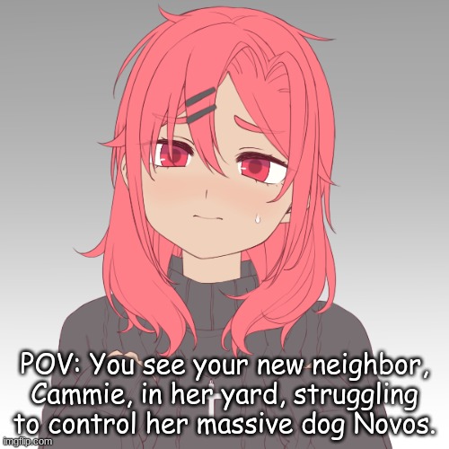 Typically I don't do POVs, but I felt this would be the best way to introduce Cammie. | POV: You see your new neighbor, Cammie, in her yard, struggling to control her massive dog Novos. | image tagged in cammie | made w/ Imgflip meme maker