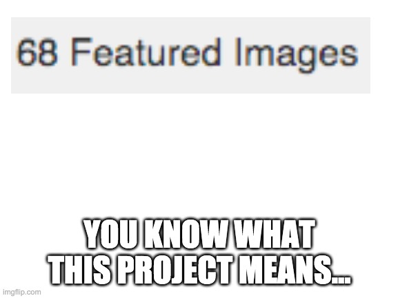 :P | YOU KNOW WHAT THIS PROJECT MEANS... | image tagged in blank white template | made w/ Imgflip meme maker