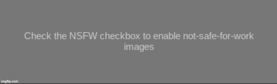 Check the NSFW checkbox to enable not-safe-for-work images | image tagged in check the nsfw checkbox to enable not-safe-for-work images | made w/ Imgflip meme maker