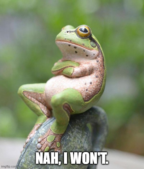 nah frog | NAH, I WON'T. | image tagged in nah frog | made w/ Imgflip meme maker