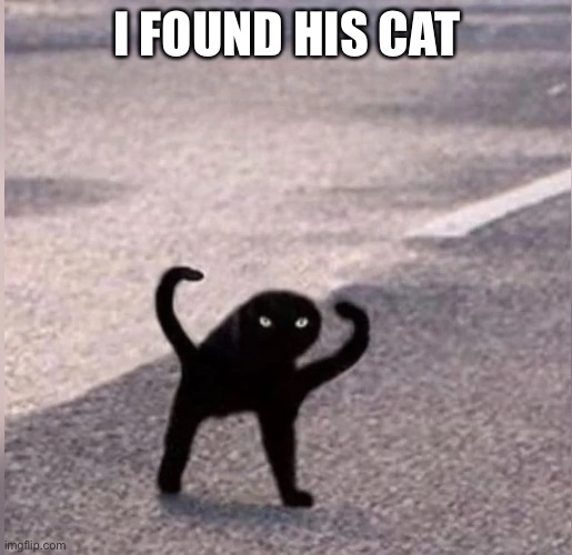 Cursed cat | I FOUND HIS CAT | image tagged in cursed cat | made w/ Imgflip meme maker