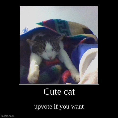 Meow | image tagged in funny,demotivationals | made w/ Imgflip demotivational maker