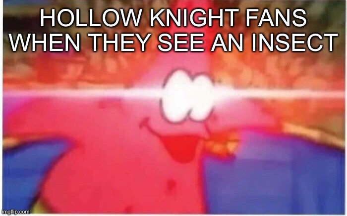 Hollow knight meme | HOLLOW KNIGHT FANS WHEN THEY SEE AN INSECT | image tagged in patrick,hollow knight | made w/ Imgflip meme maker