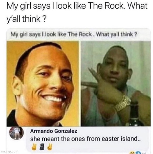 DANG LOL | image tagged in rare insults,the rock,funny,ice cube,roasted,destruction 100 | made w/ Imgflip meme maker