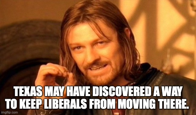 One Does Not Simply Meme | TEXAS MAY HAVE DISCOVERED A WAY TO KEEP LIBERALS FROM MOVING THERE. | image tagged in memes,one does not simply | made w/ Imgflip meme maker