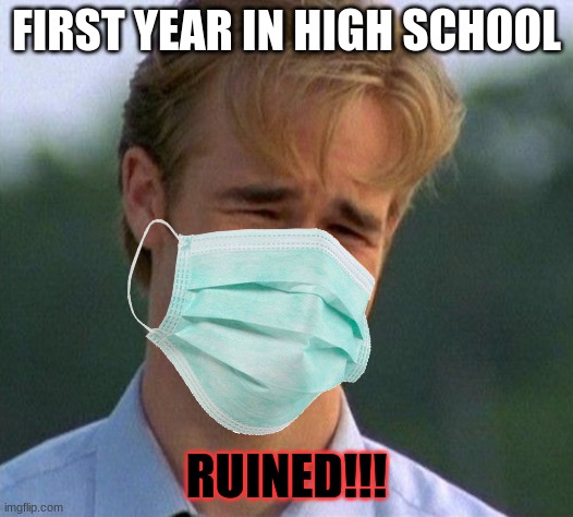 least it somethin' | FIRST YEAR IN HIGH SCHOOL; RUINED!!! | image tagged in school,covid,covid-19,face mask,mask | made w/ Imgflip meme maker