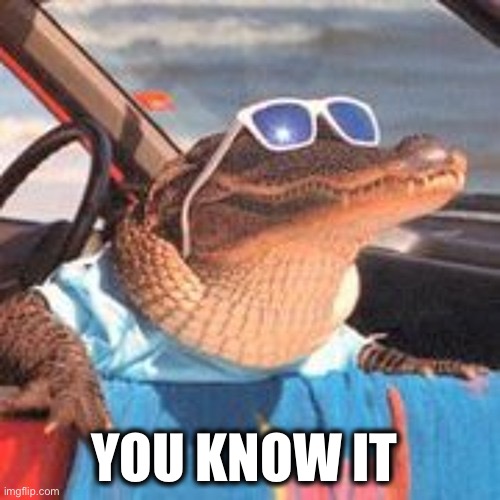 Cool Gator | YOU KNOW IT | image tagged in cool gator | made w/ Imgflip meme maker