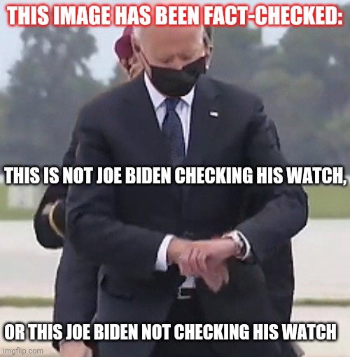 Fact checkers checking facts | THIS IMAGE HAS BEEN FACT-CHECKED:; THIS IS NOT JOE BIDEN CHECKING HIS WATCH, OR THIS JOE BIDEN NOT CHECKING HIS WATCH | image tagged in facts,fun fact,joe biden,watching | made w/ Imgflip meme maker