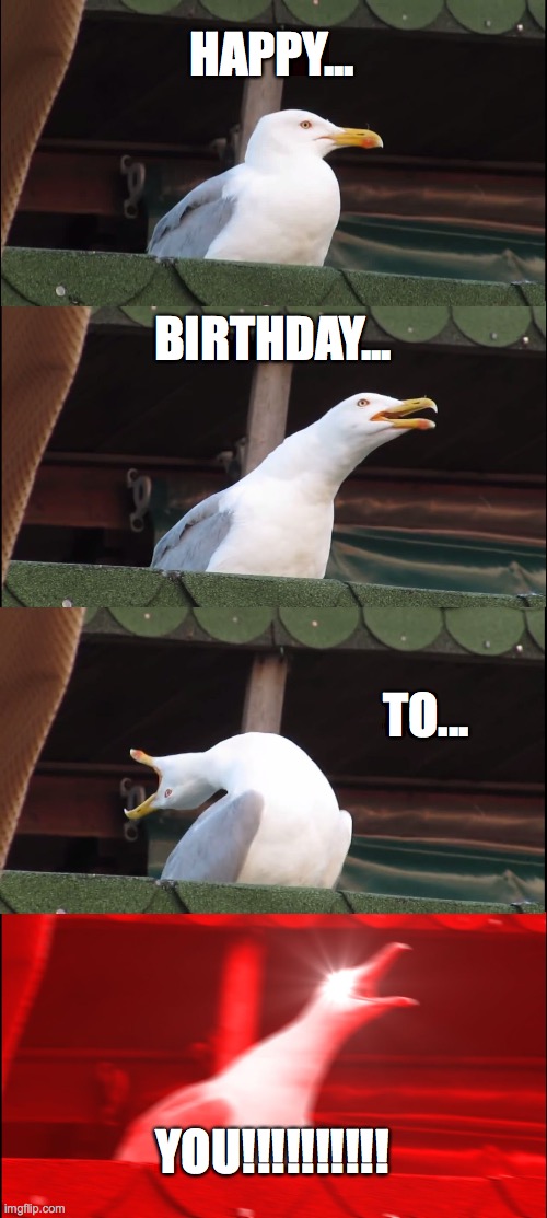 Birfday Seagull!!!! | HAPPY... BIRTHDAY... TO... YOU!!!!!!!!!! | image tagged in memes,inhaling seagull,birthday | made w/ Imgflip meme maker