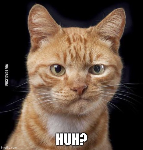 Doubting Cat | HUH? | image tagged in doubting cat | made w/ Imgflip meme maker