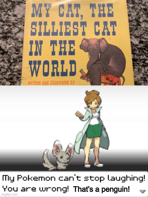 I don’t know what I am doing | That’s a penguin! | image tagged in my pokemon can't stop laughing you are wrong,elephant,cat,pokemon,chinchilla,book | made w/ Imgflip meme maker
