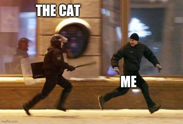 Police Chasing Guy | THE CAT ME | image tagged in police chasing guy | made w/ Imgflip meme maker