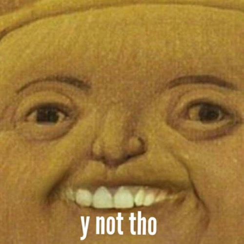 Y not tho | image tagged in y not tho | made w/ Imgflip meme maker