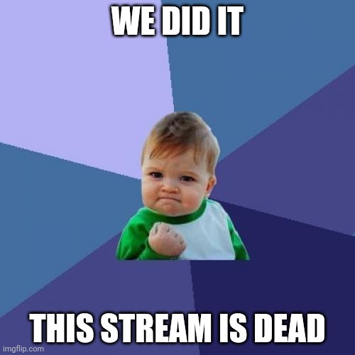 Success Kid | WE DID IT; THIS STREAM IS DEAD | image tagged in memes,success kid | made w/ Imgflip meme maker