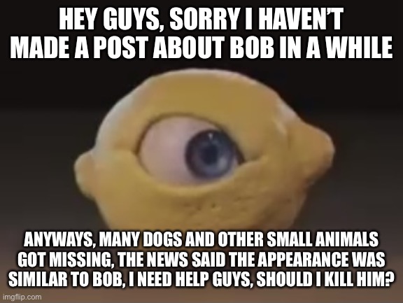 Omega Mart Lemon | HEY GUYS, SORRY I HAVEN’T MADE A POST ABOUT BOB IN A WHILE; ANYWAYS, MANY DOGS AND OTHER SMALL ANIMALS GOT MISSING, THE NEWS SAID THE APPEARANCE WAS SIMILAR TO BOB, I NEED HELP GUYS, SHOULD I KILL HIM? | image tagged in omega mart lemon | made w/ Imgflip meme maker