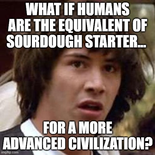 Sourdough starter | WHAT IF HUMANS ARE THE EQUIVALENT OF SOURDOUGH STARTER... FOR A MORE ADVANCED CIVILIZATION? | image tagged in memes,conspiracy keanu,sourdough,conspiracy | made w/ Imgflip meme maker
