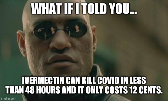There's some great therapeutics out there. | WHAT IF I TOLD YOU... IVERMECTIN CAN KILL COVID IN LESS THAN 48 HOURS AND IT ONLY COSTS 12 CENTS. | image tagged in memes | made w/ Imgflip meme maker