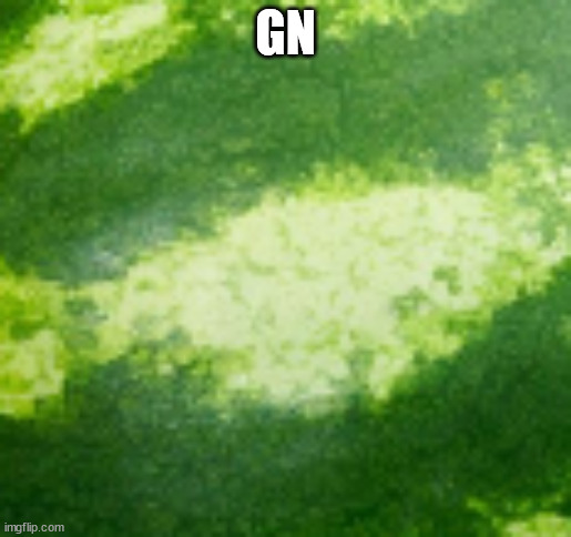 MELON BACKROUND | GN | image tagged in melon backround | made w/ Imgflip meme maker