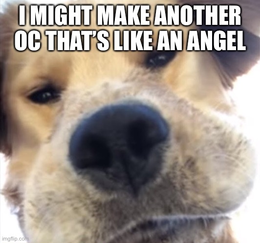 Doggo bruh | I MIGHT MAKE ANOTHER OC THAT’S LIKE AN ANGEL | image tagged in doggo bruh | made w/ Imgflip meme maker