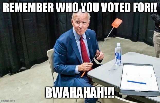 Joe Biden flyswatter | REMEMBER WHO YOU VOTED FOR!! BWAHAHAH!!! | image tagged in joe biden flyswatter | made w/ Imgflip meme maker