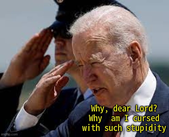 pathetic-joe-biden-imgflip