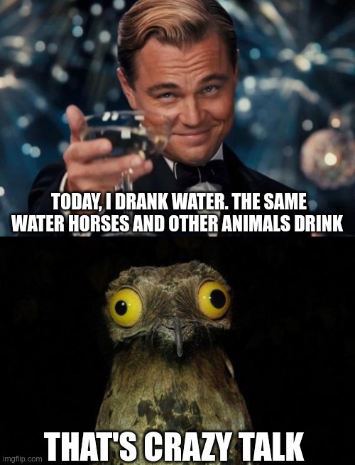 Triggered! | TODAY, I DRANK WATER. THE SAME WATER HORSES AND OTHER ANIMALS DRINK; THAT'S CRAZY TALK | image tagged in joe rogan,covid-19,vaccines,ivermectin | made w/ Imgflip meme maker