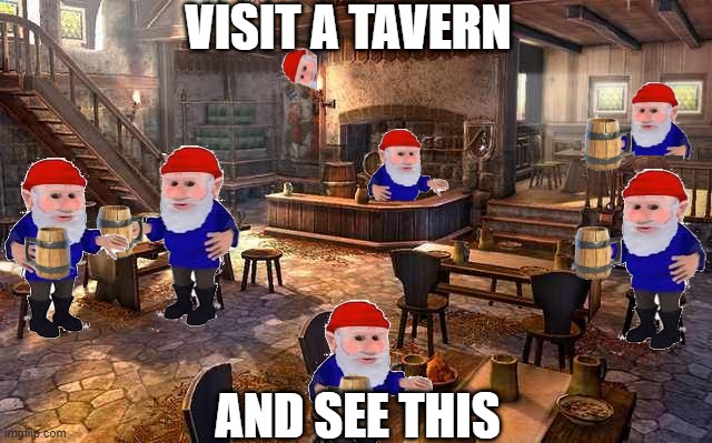 dnd gnome | VISIT A TAVERN; AND SEE THIS | image tagged in gnome,dnd | made w/ Imgflip meme maker