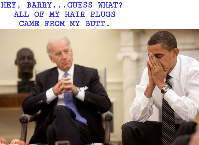 Biden Obama | HEY, BARRY...GUESS WHAT? 
ALL OF MY HAIR PLUGS
CAME FROM MY BUTT. | image tagged in biden obama,hair plugs,funny meme,butt | made w/ Imgflip meme maker