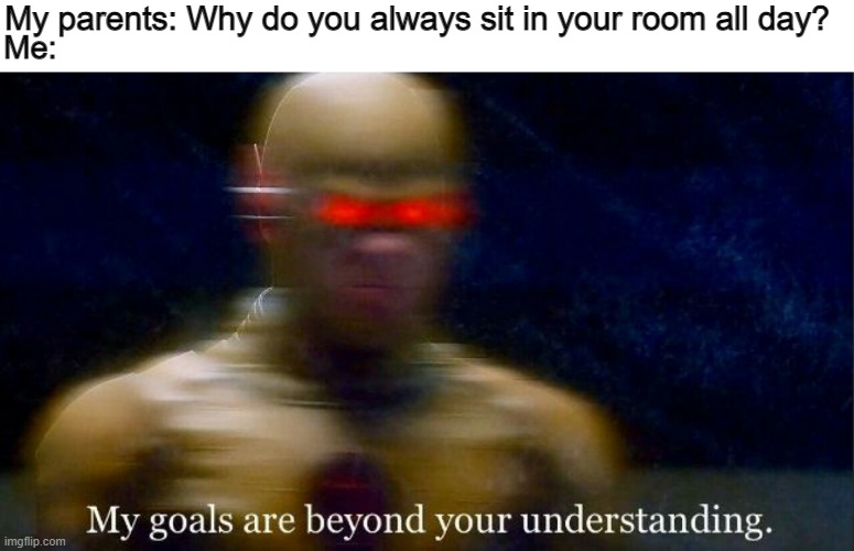 "Sitting in your room all day." | My parents: Why do you always sit in your room all day? Me: | image tagged in my goals are beyond your understanding,the flash,flash,parents,idk,lol | made w/ Imgflip meme maker