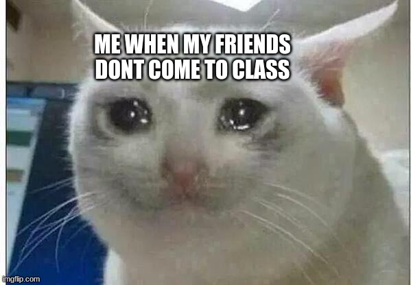 ;-; I'll see them again but still | ME WHEN MY FRIENDS DONT COME TO CLASS | image tagged in crying cat,friends,cats,class | made w/ Imgflip meme maker