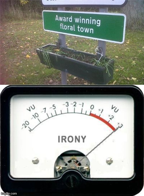 At least it 'was' an award winning floral town. 'was' | image tagged in irony meter | made w/ Imgflip meme maker