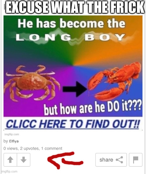 EXCUSE WHAT THE FRICK | image tagged in excuse me what the heck,memes,crab,lobster,what the fu-,excuse me what the frick | made w/ Imgflip meme maker