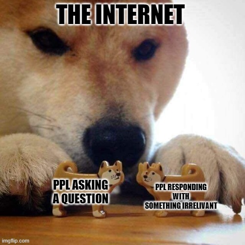 dog now kiss  | THE INTERNET; PPL RESPONDING WITH SOMETHING IRRELIVANT; PPL ASKING A QUESTION | image tagged in dog now kiss | made w/ Imgflip meme maker
