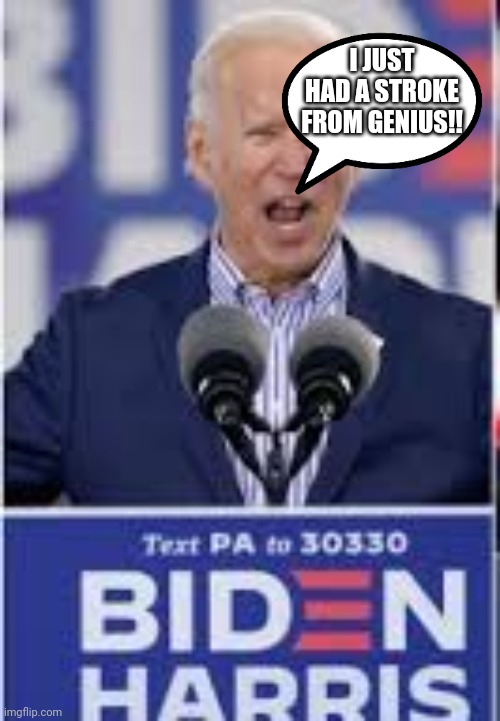 I JUST HAD A STROKE FROM GENIUS!! | image tagged in senile biden | made w/ Imgflip meme maker