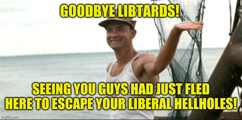 Forest Gump waving | GOODBYE LIBTARDS! SEEING YOU GUYS HAD JUST FLED HERE TO ESCAPE YOUR LIBERAL HELLHOLES! | image tagged in forest gump waving | made w/ Imgflip meme maker